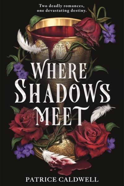 Where Shadows Meet (Paperback)