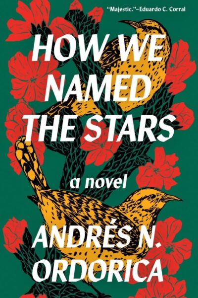 How We Named the Stars (Paperback)