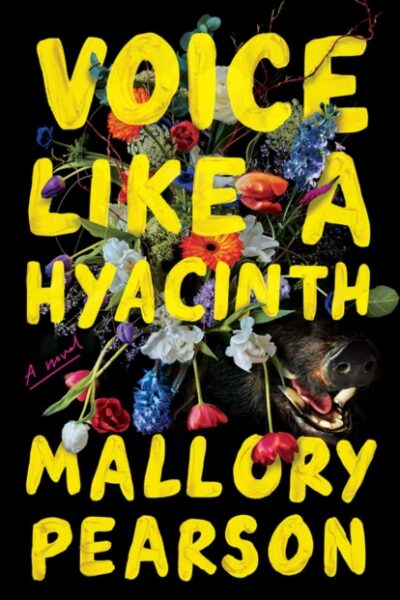 Voice like a Hyacinth (Paperback)