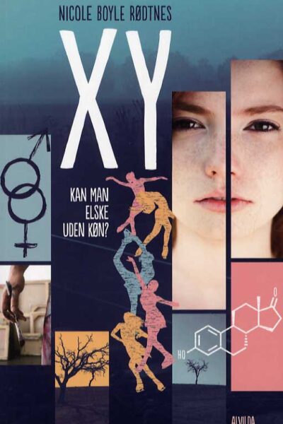 XY (Paperback)