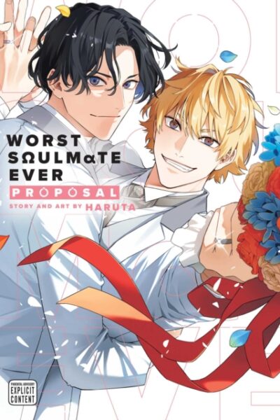 Worst Soulmate Ever - Proposal